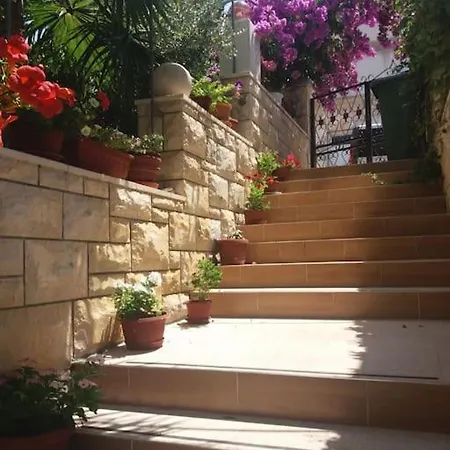 Spacious Apartment, Tania