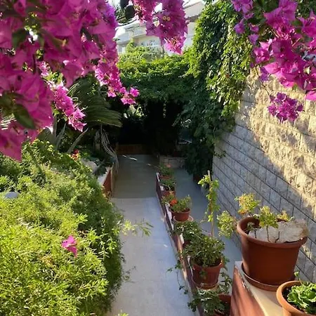 Spacious Apartment, Tania شقة