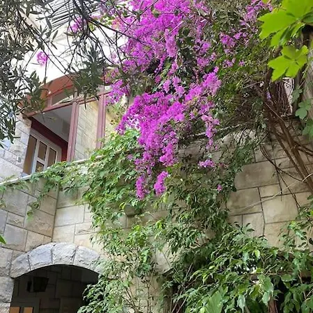 Spacious Apartment, Tania