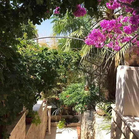Spacious Apartment, Tania شقة هفار