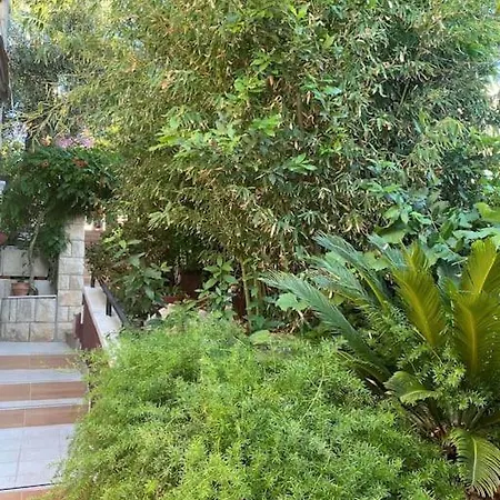 شقة Spacious Apartment, Tania
