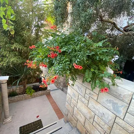 Spacious Apartment, Tania شقة *